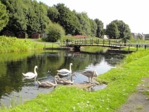 Canal