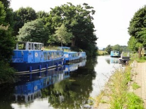 boats