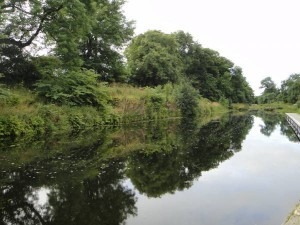reflection
